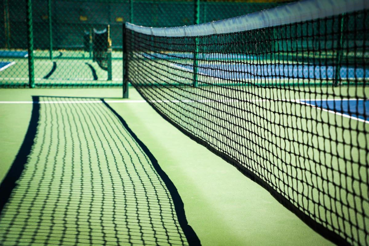 Pickleball page image
