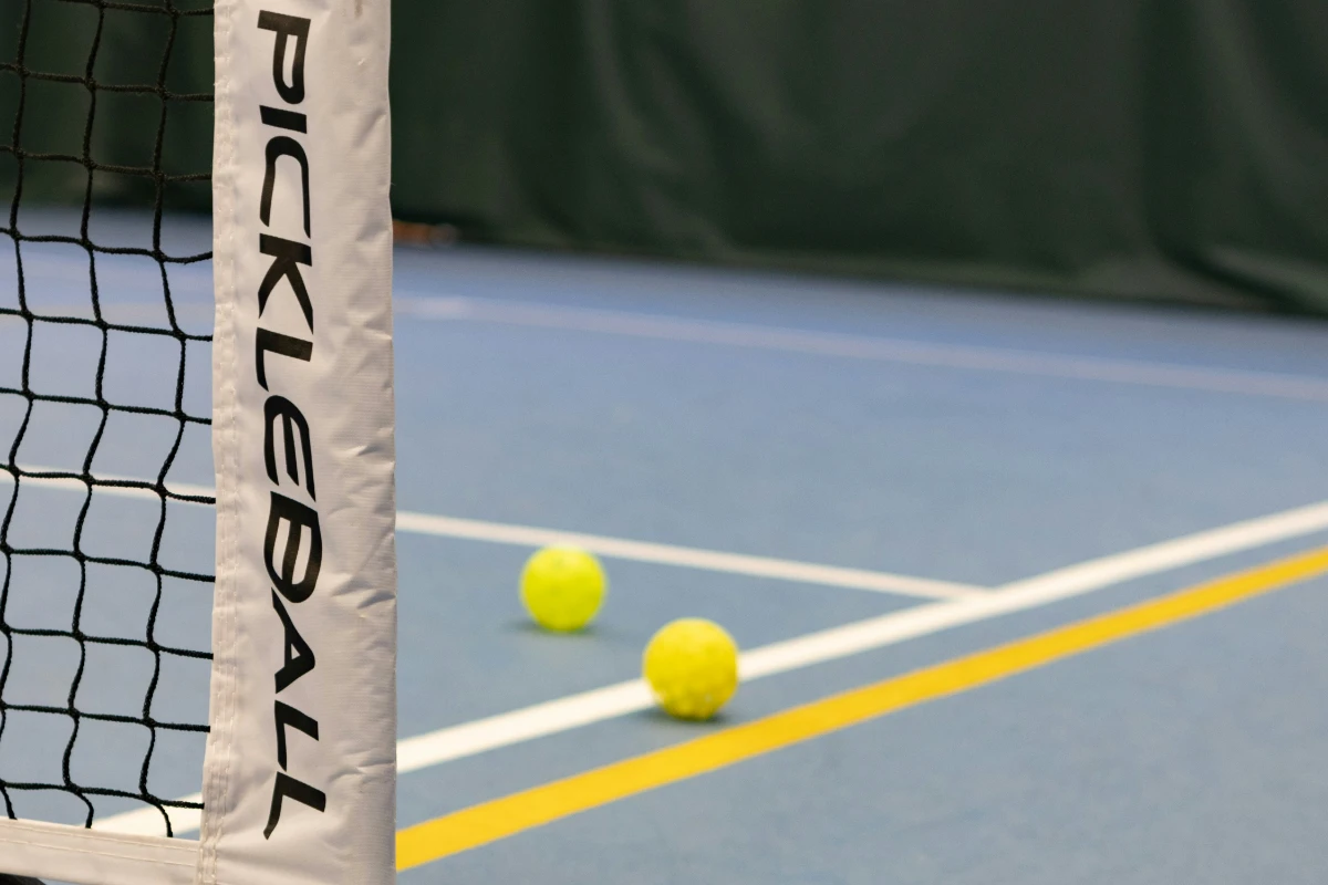Pickleball page image